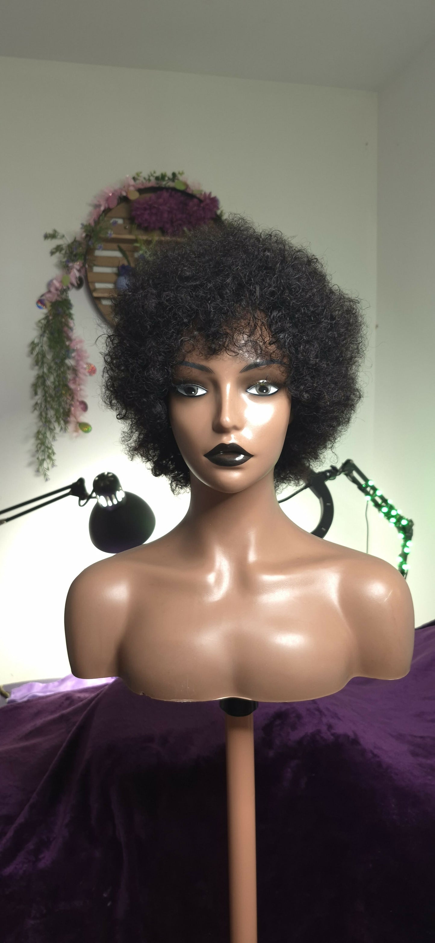 ZOLA
